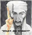 Untoon-Osama Worry?2.jpg