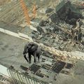 Chernobyl Elephant-flossing Accident (12 June)