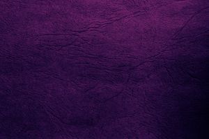 Purple832.jpg