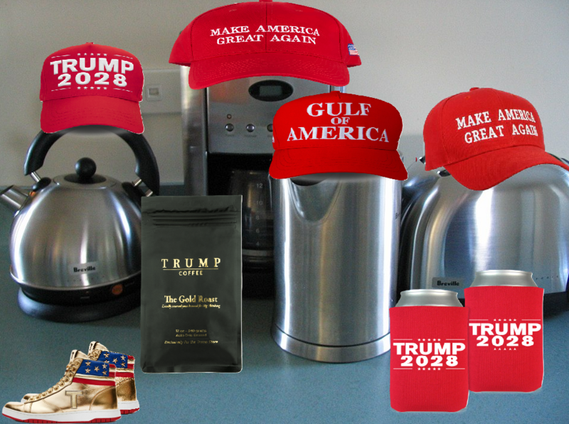 File:Donald trump voters.png