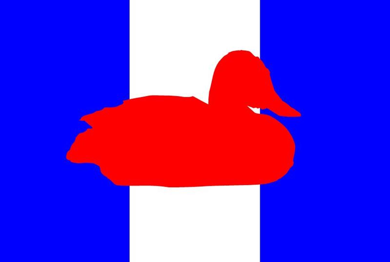 File:Duckists Duckistan flag.JPG