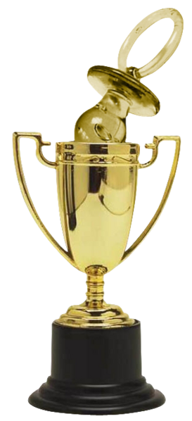 File:Noob Of The Year Trophy.png