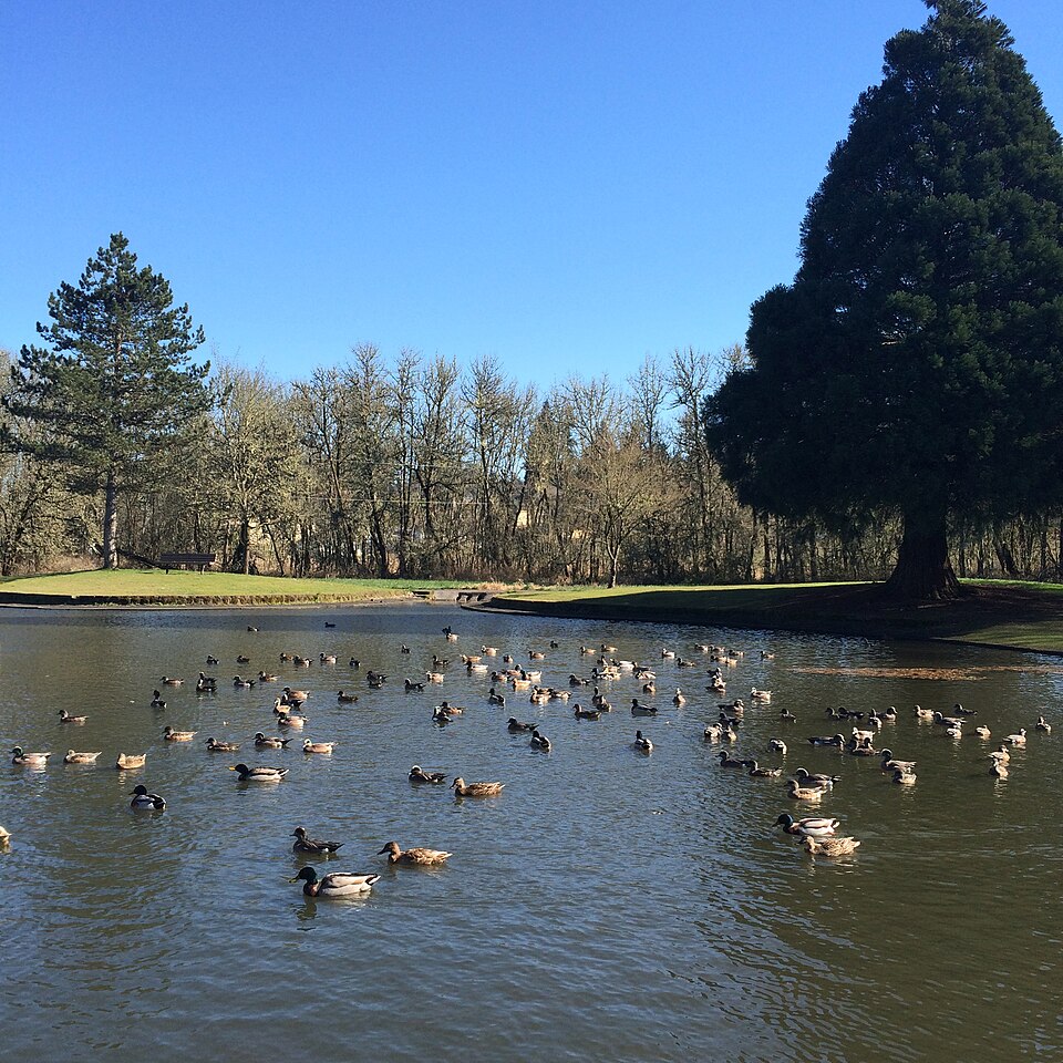 File:Starker Arts Park Corvallis, Oregon.jpg