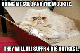 File:Jabba cat.jpg
