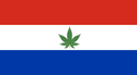 Paraguay's tasteful flag