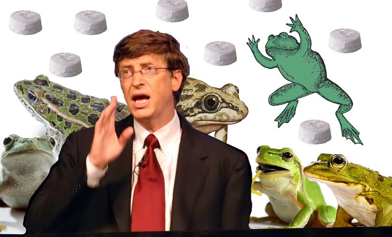 File:Bill Gates and his frogs.jpg