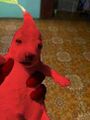 Red Pikmin - known for smelling, throwing virgins into fires, arson, drowning, posing as Goethe, and reproducing.