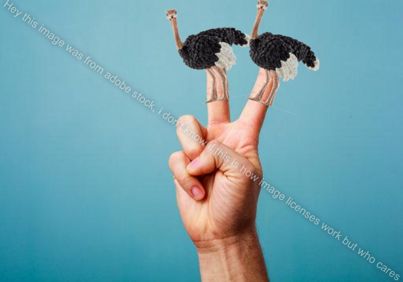 File:Two ostriches.png