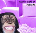 Album for Purple Cheese Monkey