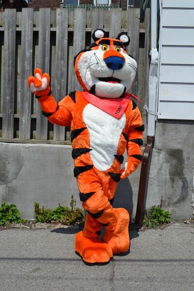 File:AuburnMascot.jpg