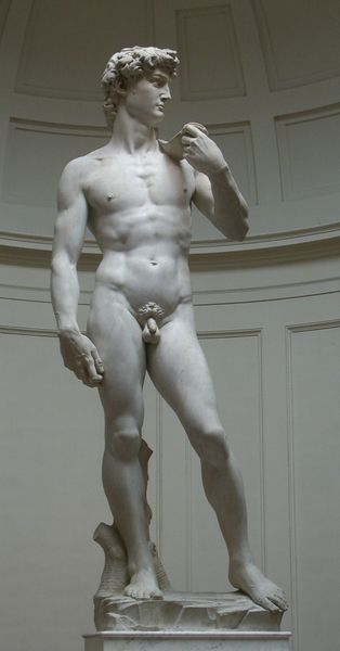 File:David von Michelangelo.jpg