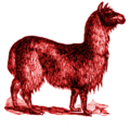 Red Warmongering Llama (11 November)