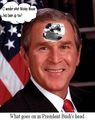 This is what really goes on in President Bush's head. Dubya page
