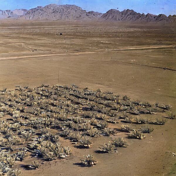 File:Normal-desert.jpg