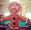 Gingerbread Ed.jpg