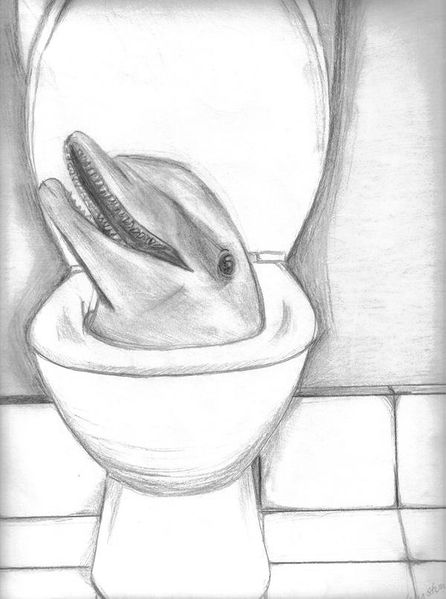 File:Toilet flipper.jpg