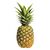 Pineapplelol.jpg