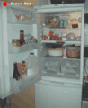 Interactive fridge