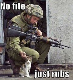 File:Funny-pictures-soldier-and-cat.jpg