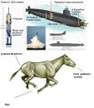 Horse-drawn submarines are sadly obsolete.