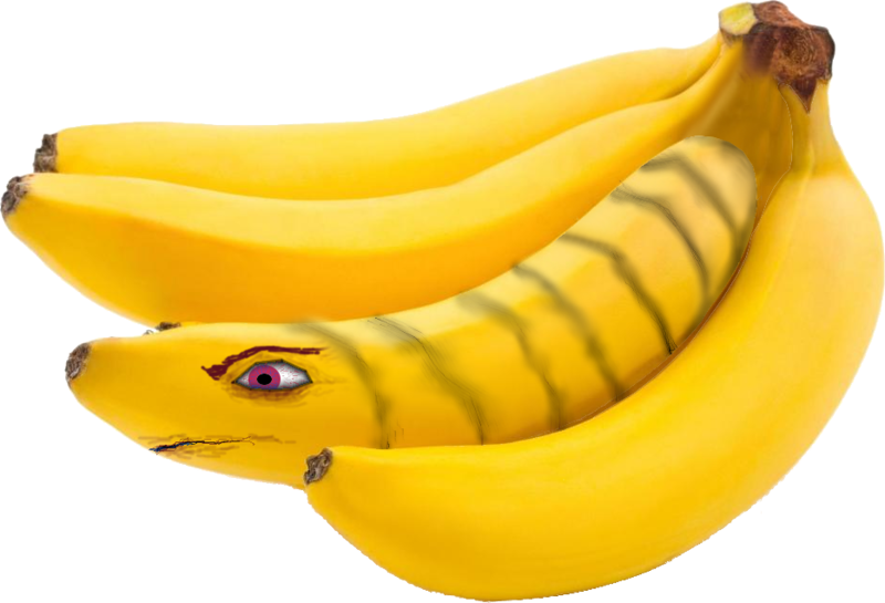 File:Banana-worms-1.png