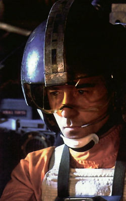 Wedgeantilles1.jpg