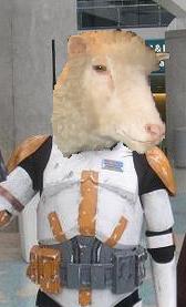 Baaaaaaantha Poodoo!
