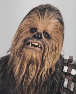 CHEWIE.jpg