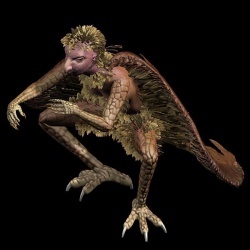 Harpy.JPG