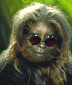 WookieeGoldberg.jpg