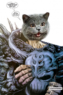 Darth Krayt-Kitteh.png