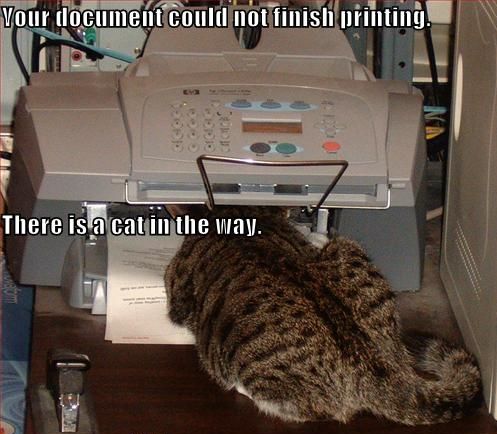 Fichier:Catprinter.jpg