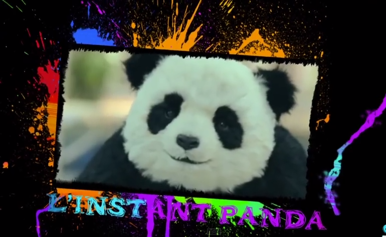 Fichier:Instant panda slg.png