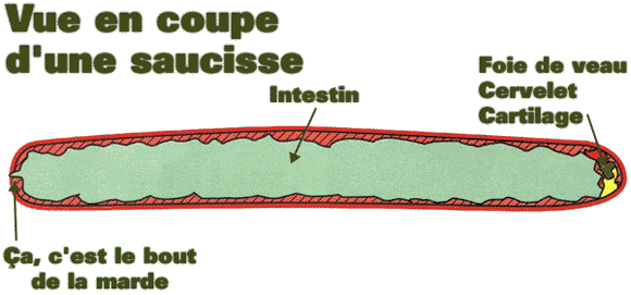 Fichier:Coupe.gif