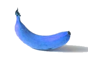 Fichier:Banane bleue.png