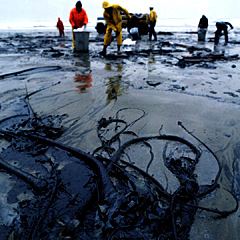 Fichier:Oil-spill.jpg