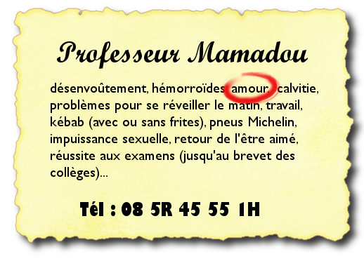 Fichier:Professeur Mamadou.png