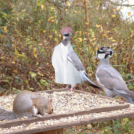 Fichier:Super-intelligent pigeons.jpg