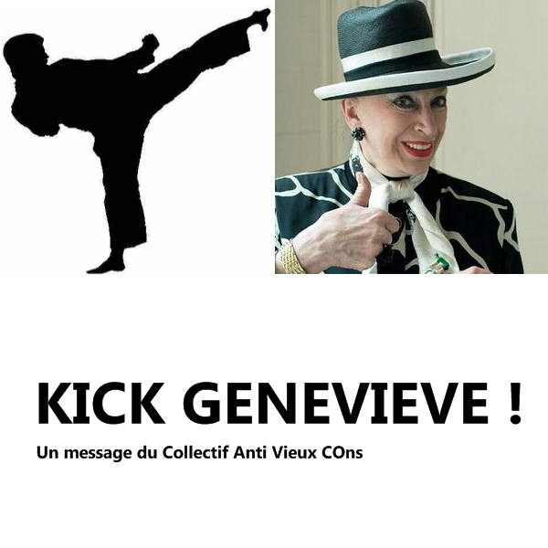 Fichier:Kick geneviève2.png