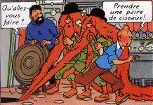 Fichier:Tintin orange.jpg