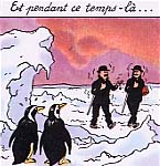 Fichier:Tintin pinguins.jpg