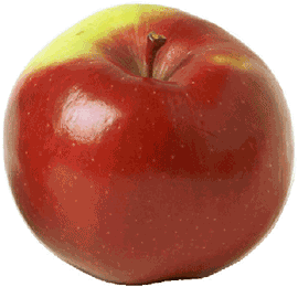 Fichier:Pomme.gif