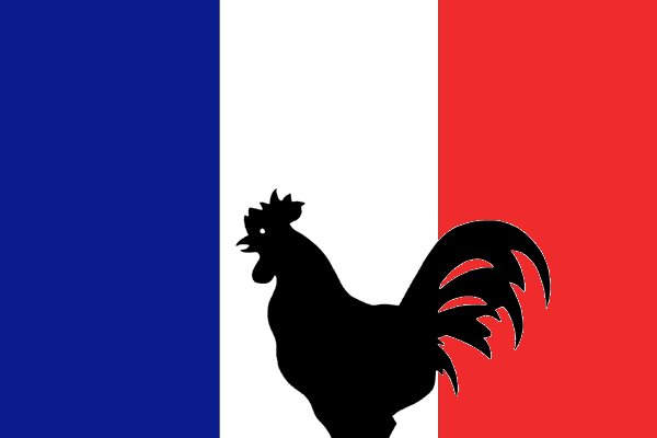 Fichier:France drapeau.jpg