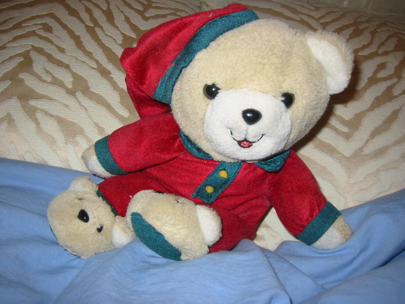 Fichier:800px-Teddy bear.jpg