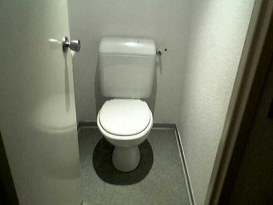 Fichier:The-toilette.jpg