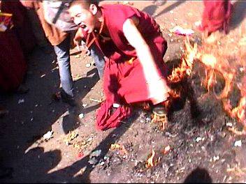 Fichier:Tibetain Pet Flambé.jpg