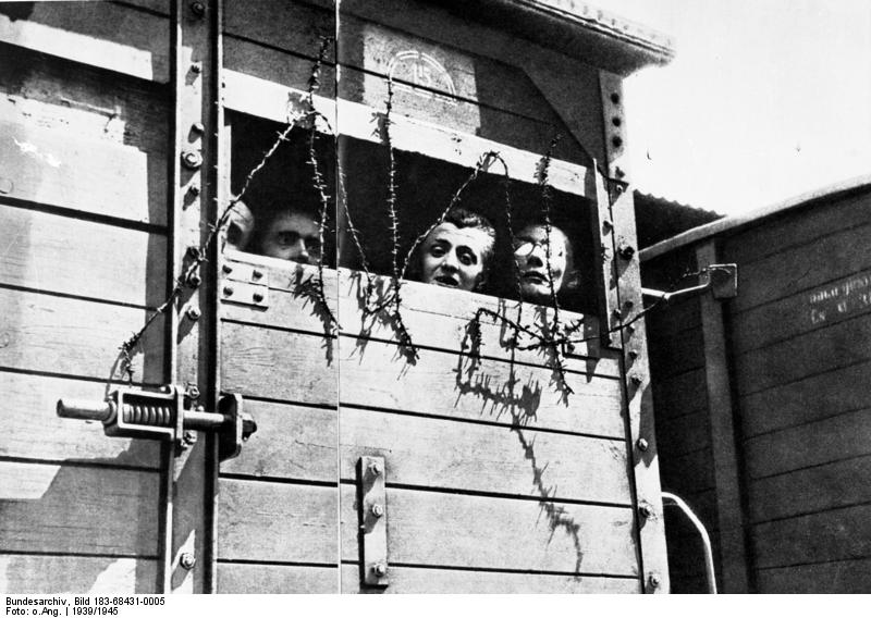 Fichier:Bundesarchiv Bild 183-68431-0005, Polen, Konzentrationslager, Deportation.jpg