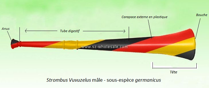 Fichier:Vuvuzela 172950.jpg