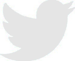 Fichier:Twitter logo gris.jpg