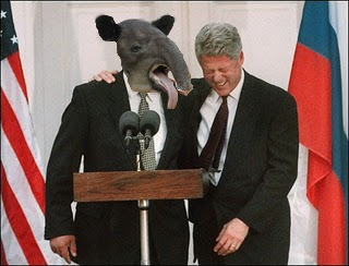 Fichier:Clinton tapir.png